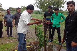 Vruksharopan 6-8-2014 